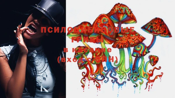 гашик Краснотурьинск