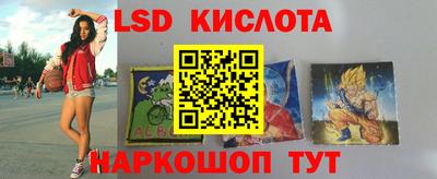 прущие грибы Кандалакша