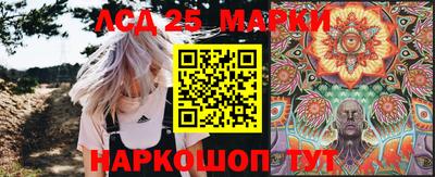 прущие грибы Кандалакша