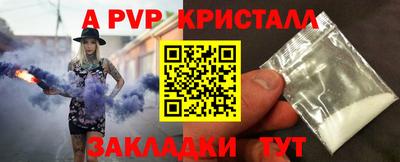 прущие грибы Кандалакша