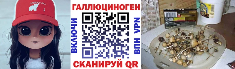 где можно купить наркотик  Усть-Илимск  Псилоцибиновые грибы GOLDEN TEACHER 
